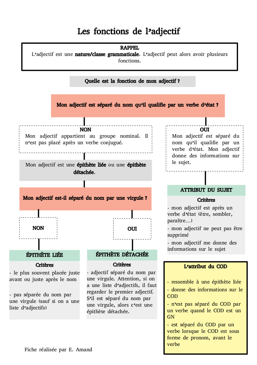 Les fonctions de l'adjectif - Fiche de cours