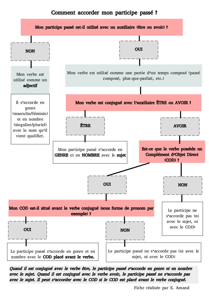 Accord du participe passé - Niveau 1 - Page 2